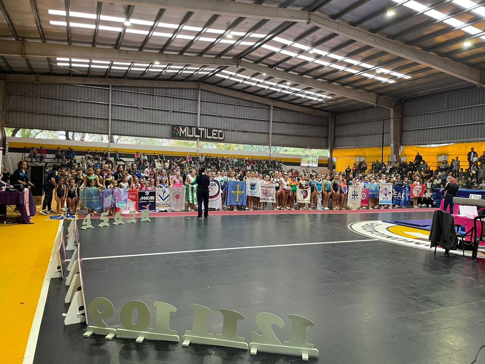 Campeonato Metropolitano de Clubes, niveles 1 y 2